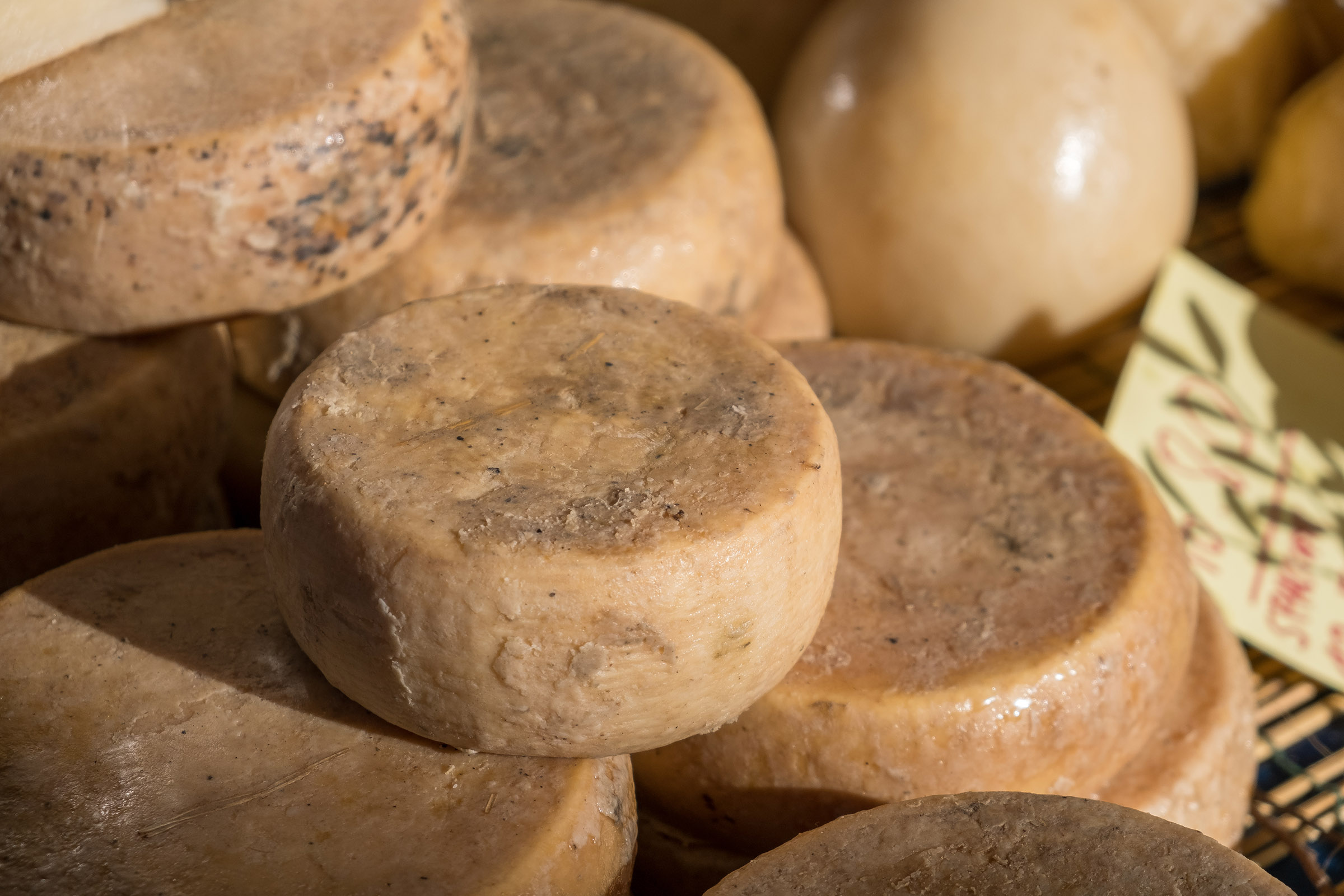 Der gefährlichste Käse der Welt wird mit springenden Würmern bedeckt serviert Der gefährlichste Käse der Welt wird mit springenden Würmern bedeckt serviert