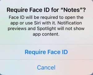 A prompt informs you what happens once you lock an app with Face ID.