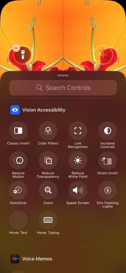 You can also choose from various accessibility options.