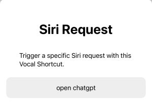 Type the command you want to give Siri via the Vocal Shortcut.