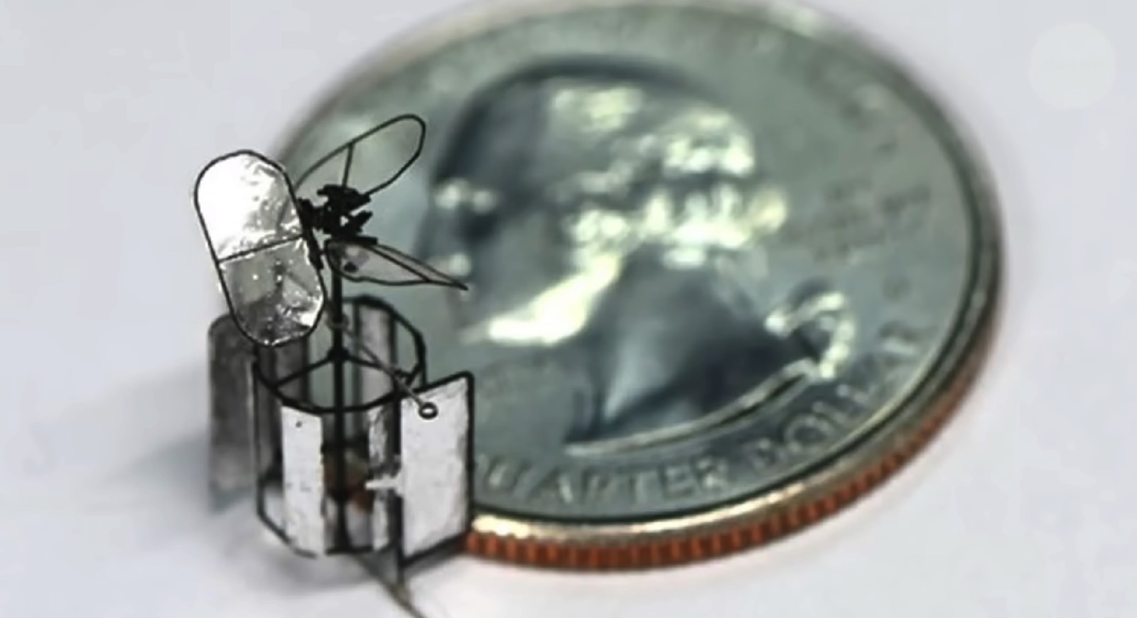 The bug-sized version of the drone.