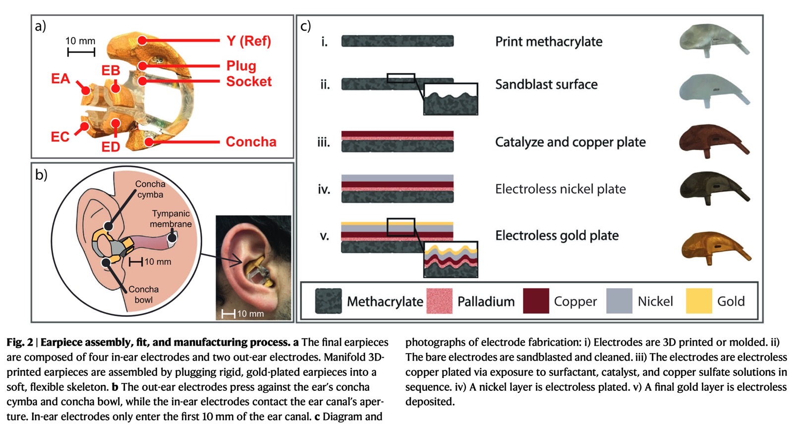 A schematic from the study explaining the design of the EEG earbuds.