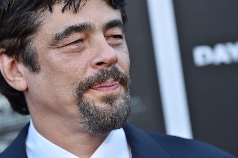 Benicio del Toro