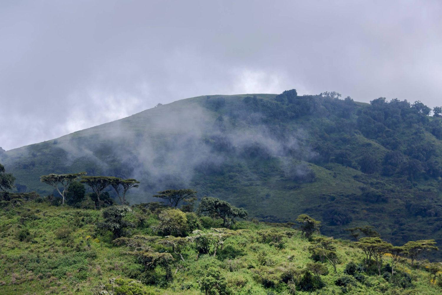 Researchers found evidence that Africa might be breaking in two