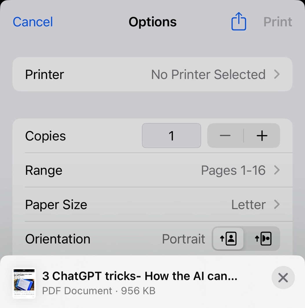 Tapping that Share button at the top in the Print menu lets you share the web page as PDF.