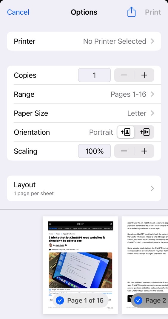 The Print menu on the iPhone.