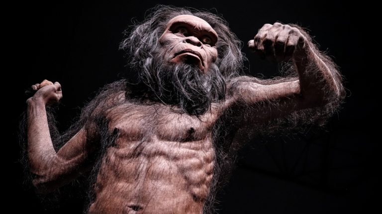 ancient human on exhibit at museum
