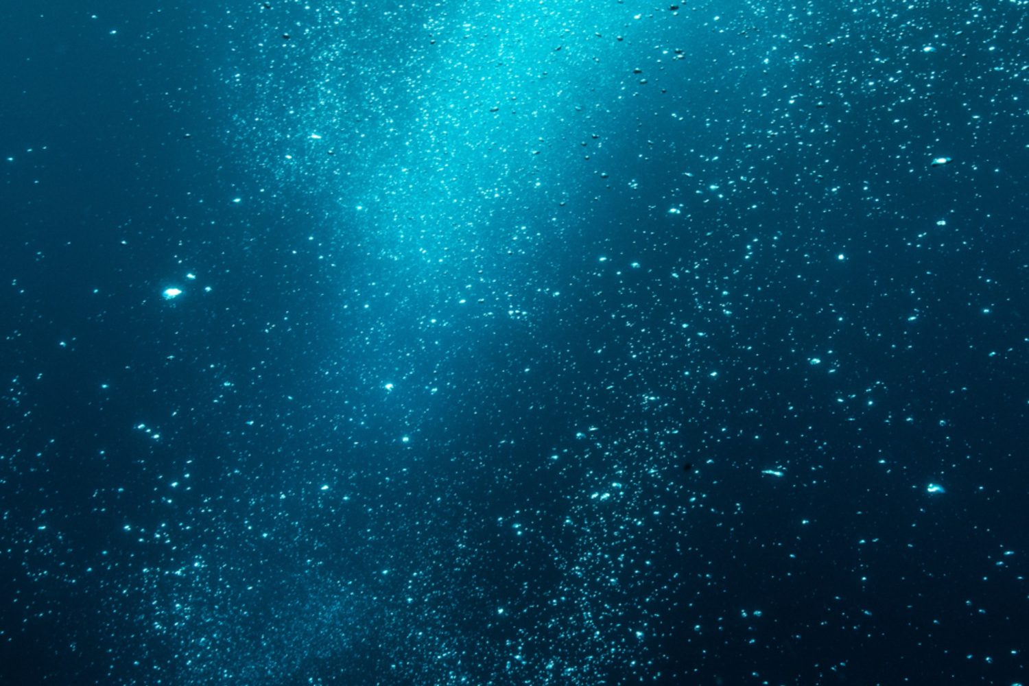 Scientists found the first known methane-powered spiders at the bottom of the sea