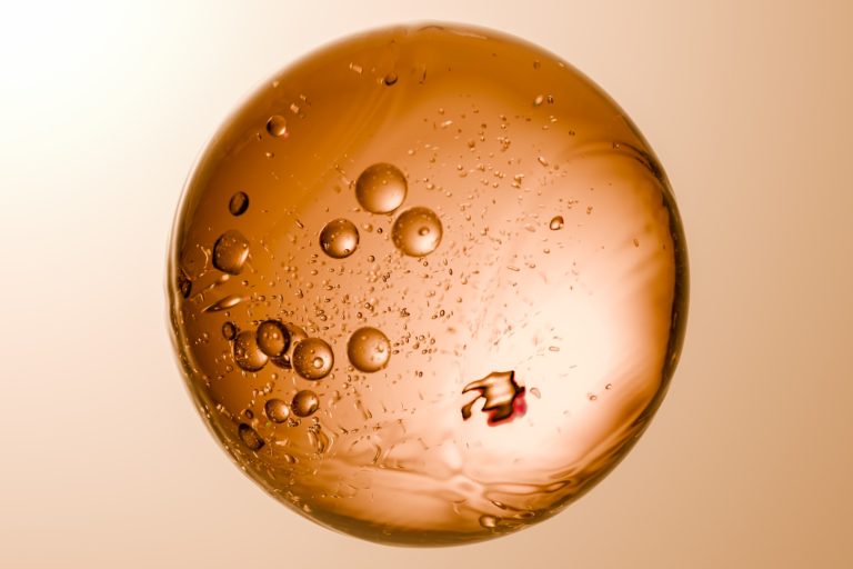 close up of microscopic cell with bubbles inside