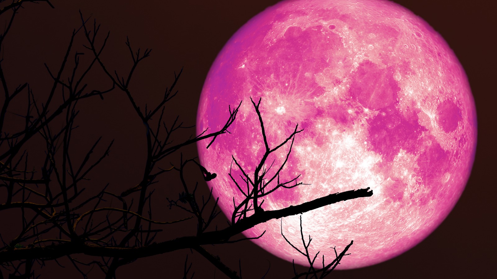 Strawberry Moon: How to watch the lowest full moon since 2006